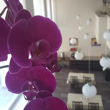 Ileri &